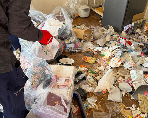 ゴミ屋敷